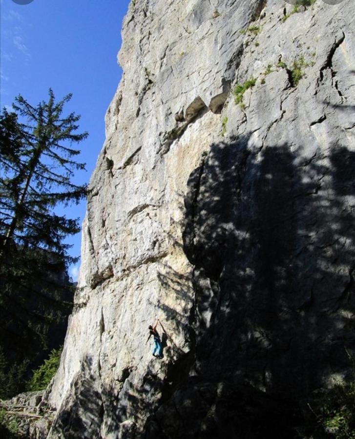 Apartma Jelendol Tržič Exterior foto